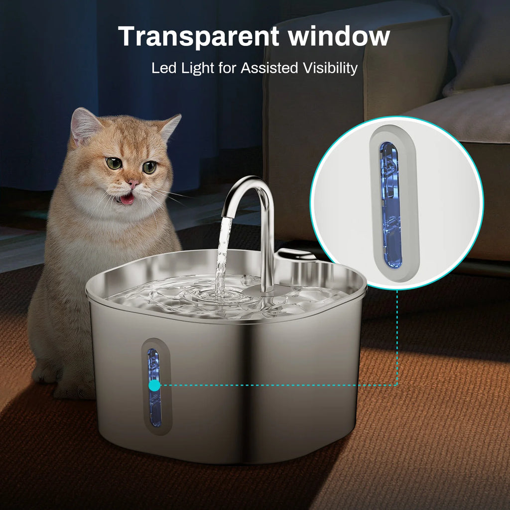 CIOTOLA ACQUA CANE GATTO