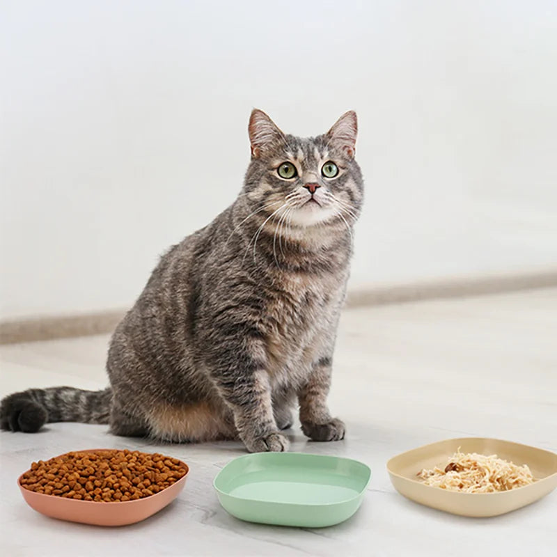 Set di 3/10/20 ciotole in plastica antiscivolo per gatti, ciotole basse per cibo e acqua, adatte a gattini, gatti a zampe corte, furetti e gatti randagi.