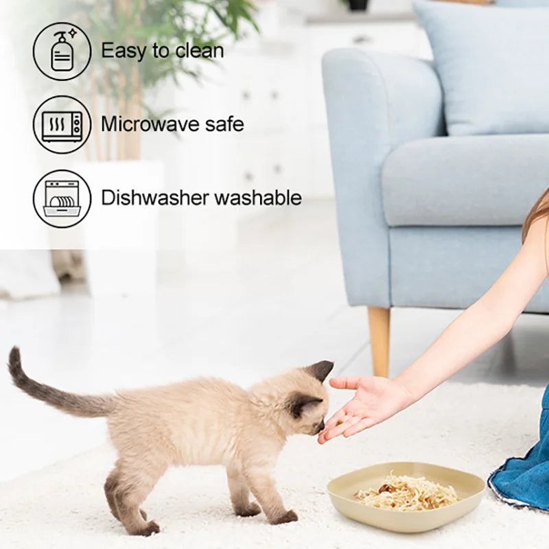 Set di 3/10/20 ciotole in plastica antiscivolo per gatti, ciotole basse per cibo e acqua, adatte a gattini, gatti a zampe corte, furetti e gatti randagi.